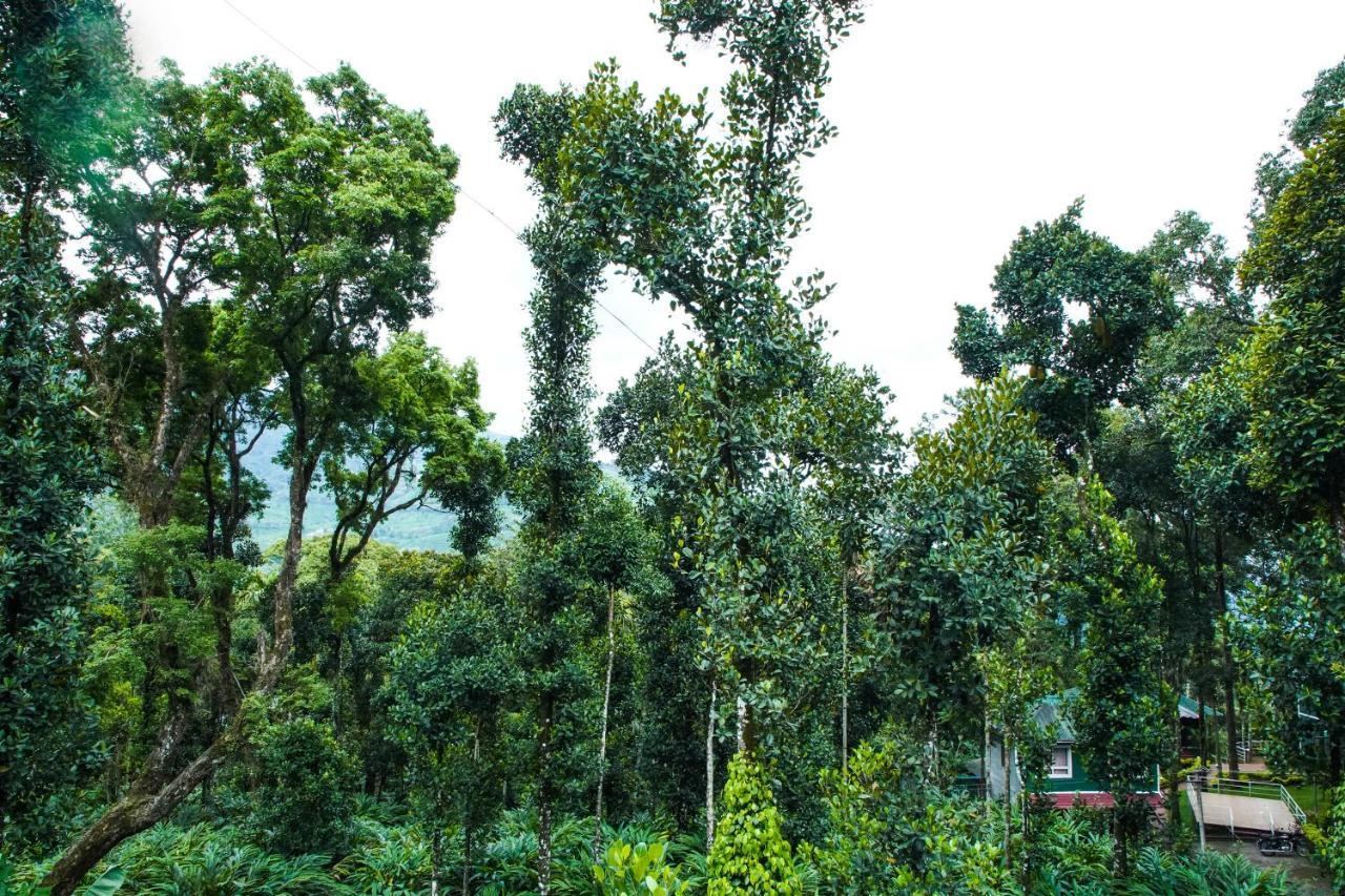 Tree Blanche Hotell Munnar Exteriör bild